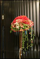 www.floristic.ru - .  