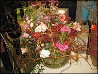 www.floristic.ru - .   7  19.01.2011