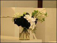 www.floristic.ru - .   7  19.01.2011