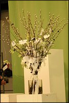 www.floristic.ru - .   7  19.01.2011