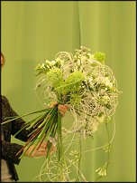 www.floristic.ru - Флористика. Показ в 7 Цветах 19.01.2011