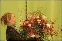 www.floristic.ru - .   7  19.01.2011