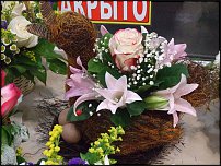 www.floristic.ru - .       - ?