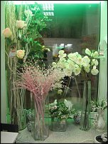 www.floristic.ru - .       - ?