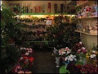 www.floristic.ru - .       - ?