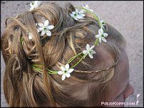 www.floristic.ru - .  