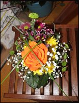 www.floristic.ru - .  .