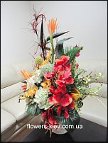 www.floristic.ru - .      .