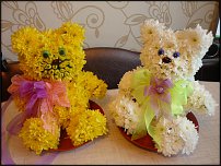 www.floristic.ru - .   ....