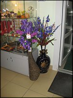 www.floristic.ru - .       - ?