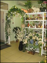 www.floristic.ru - .       - ?