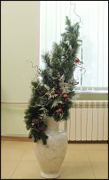 www.floristic.ru - .       - ?