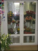 www.floristic.ru - .       - ?