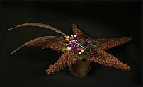    
: s640x48011.jpg
: 436
:	49.3 
ID:	63952
