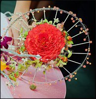 www.floristic.ru - .  .