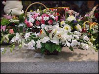 www.floristic.ru - .       - ?