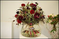 www.floristic.ru - . Life3-Tomas De Bruyne (),Max van de Sluis ()  Per Benjamin ().