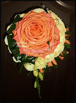 www.floristic.ru - . 