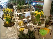 www.floristic.ru - . "shabby shick"    ...