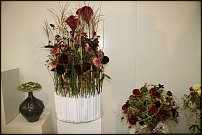 www.floristic.ru - . Life3-Tomas De Bruyne (),Max van de Sluis ()  Per Benjamin ().