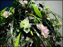 www.floristic.ru - . -     