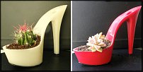 www.floristic.ru - . .   