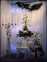 www.floristic.ru - .    , 