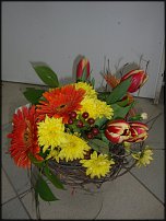 www.floristic.ru - .   