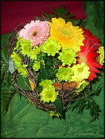 www.floristic.ru - .   