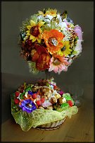 www.floristic.ru - .     -,  ..