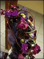 www.floristic.ru - . -     