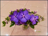 www.floristic.ru - .   