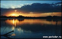 www.floristic.ru - .   -   ?