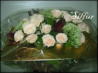 www.floristic.ru - .   