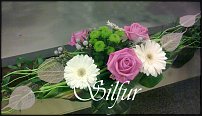 www.floristic.ru - .   