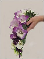 www.floristic.ru - .   