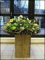 www.floristic.ru - . -     