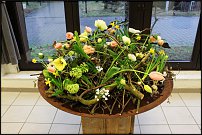 www.floristic.ru - . -     