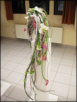 www.floristic.ru - . -     