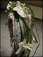 www.floristic.ru - . -     