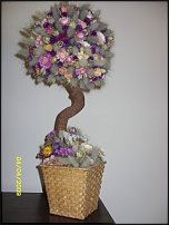 www.floristic.ru - .   .