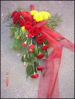 www.floristic.ru - .  