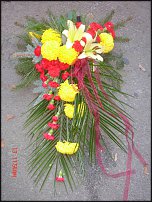 www.floristic.ru - .  