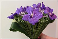 www.floristic.ru - .   