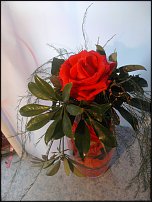 www.floristic.ru - .  