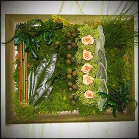 www.floristic.ru - Флористика. Стабилизированные или консервированные растения - аналог искусственных цветов!