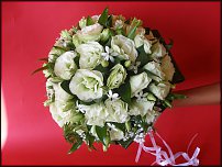 www.floristic.ru - .  