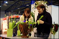 www.floristic.ru - .    , 