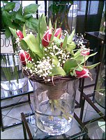 www.floristic.ru - .   