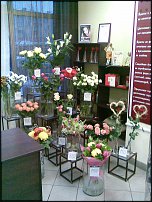 www.floristic.ru - .   